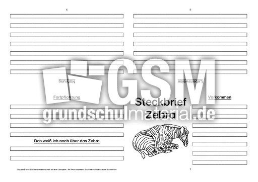 Zebra-Faltbuch-vierseitig-6.pdf